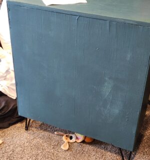 y195- Mid Century Bookcase. Local Artist, Custom Hand Painted Design - Image 4