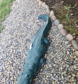 i299- Cement Alligator. Great Shape - Image 3