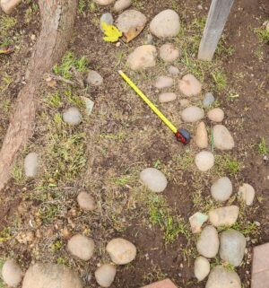 a125- landscape/river rocks. Buyer to load/remove all in back yard - Image 5