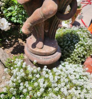 n3- Boy with wheat cement Statue. A. Silvestri Co - Image 3