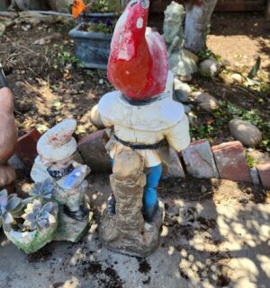 n9- Garden Gnome with Beer Stein - Image 4