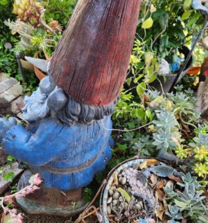 n245- Large Cement Garden Gnome - Image 4