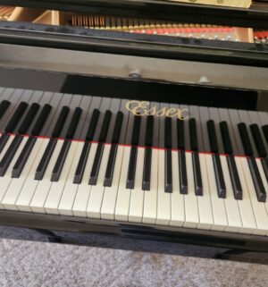 v273- Essex Grand Piano by Steinway & Sons. Model EGP155. Beautiful Condition. - Image 4