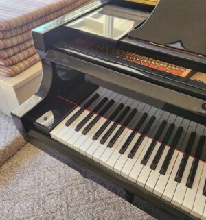 v273- Essex Grand Piano by Steinway & Sons. Model EGP155. Beautiful Condition. - Image 5