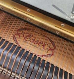 v273- Essex Grand Piano by Steinway & Sons. Model EGP155. Beautiful Condition. - Image 6