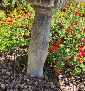 a75- Cement Bird Bath 2 piece - Image 3