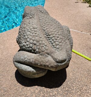 a80- large cement toad - Image 3