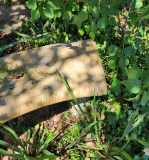 a148- Cement Garden Bench - Image 3