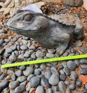 d7- Large Cement Toad - Image 4