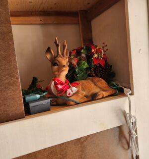 d120- Christmas items in cabinet - Image 3