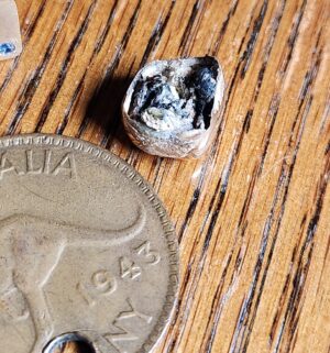 pa112- dental gold, PPG Service Pins, Australia Coin - Image 3