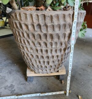 m140- Stan Bitters Thumbprint Planter w/ Jade Plant. Excellent Condition - Image 3