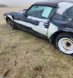 w2- 1977 Pontiac Trans AM. Non Running. No keys. Clean Title. Pink Slip Transfer - Image 8