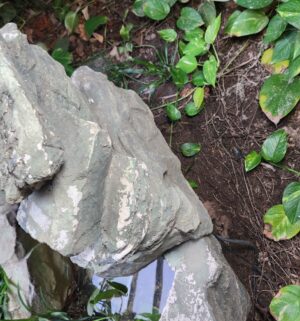y173- plastic fountain - Image 3