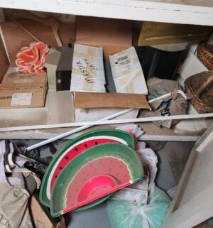 y192- Massive Collectible Collection in 3 Cabinets. Buyer to Remove/Box/Load. 15+ boxes worth - Image 3