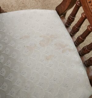 f16- 8 Chair Dining Table w/ 2 Extensions. Caneback Chairs. Excellent Condition - Image 14