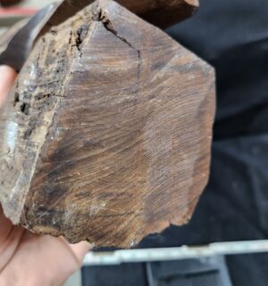 q335- Ironwood Eagle - Image 4