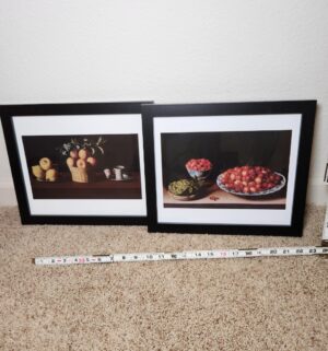 f152- Framed Pictures