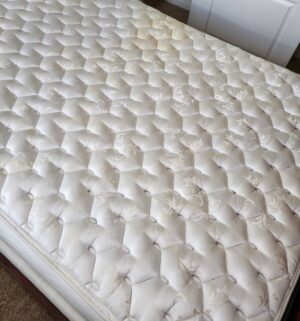 f153- JcPenny Spring Air Queen Mattress & Boxspring Only. No Frame - Image 5
