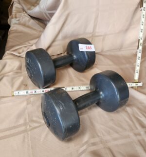 x166- dumbbells 10lbs