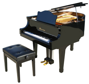 v198- Schoenhut 49 Key Pro Baby Grand Piano. Original Crate. Actual Product Original Crate. Actual Product MAY vary slightly. Web stock images used.