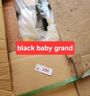 v196- Schoenhut 49 Key Pro Baby Grand Piano. Original Crate. Actual Product MAY vary slightly. Web stock images used. - Image 3