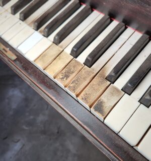 v210- Antique Bush & Gerts Chicago Grand Piano. In Garage - Image 3