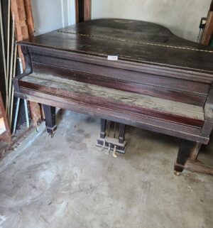 v210- Antique Bush & Gerts Chicago Grand Piano. In Garage - Image 5