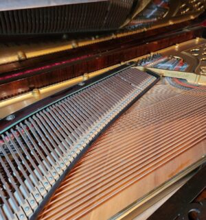 v229- Stunning Steinway & Sons Victorian Square Grand Piano. Original 1870s. Brazilian Rosewood - Image 15