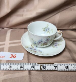 d36- Limoges Cup/Saucer