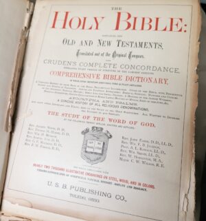 d78- 1880s Bible Dictionary & Cities of the Bible. 2300 Illustrations - Image 8
