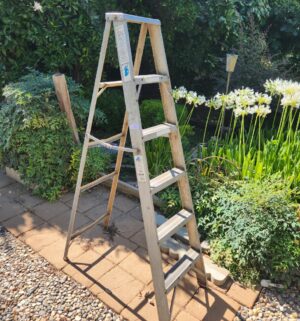 g15- 6ft ladder