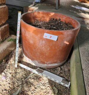 h3- Clay Planter Pot