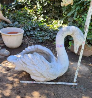 h23- Cement Swan