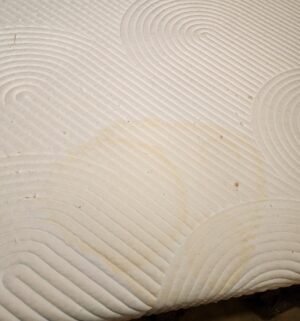 h39- Tempur-Pedic Cal King Mattress w/ Box Springs. Very Faint Stains Seen - Image 4