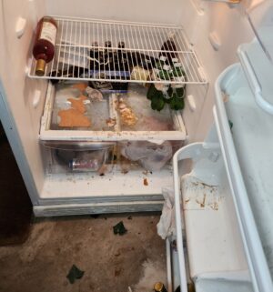 h173- Kenmore Garage Refrigerator - Image 3