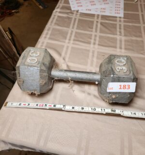 h183- 30 lbs dumbbell