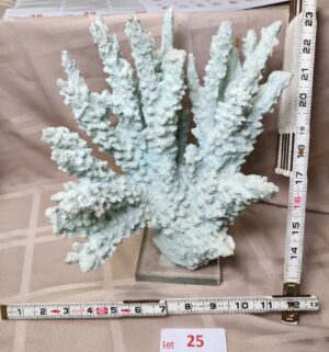 L25- Faux Coral Display