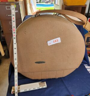 n183- vintage forecast travel case