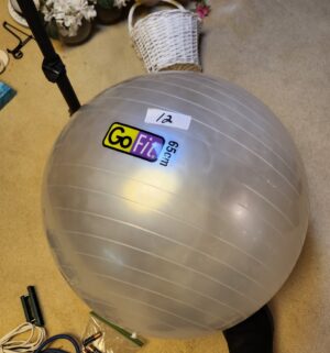 m12- GoFit 65cm Exercise Ball