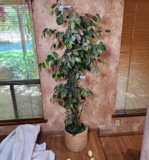 m62- Fake Tree - Image 1