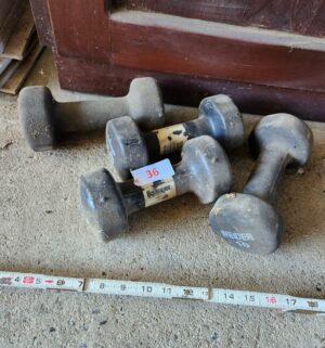 o36- hand weights 10lbs