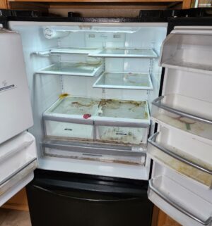 w37- Kenmore Elite Refrigerator w/ water ice. Keeps proper temp. needs a deep cleaning - Image 3