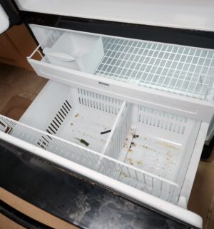 w37- Kenmore Elite Refrigerator w/ water ice. Keeps proper temp. needs a deep cleaning - Image 4