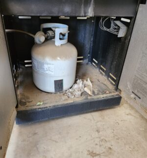 w78- Charbroil Stainless BBQ w/ tank - Image 3