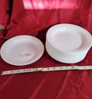 w176- Set of 14 Corelle Plates