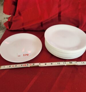 w179- Set of 16 Corelle Plates