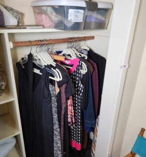 x34- Contents of the closet, storage totes, womens clothing