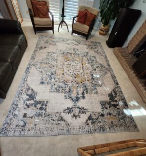 x73- Surya 8x10 Area Rug