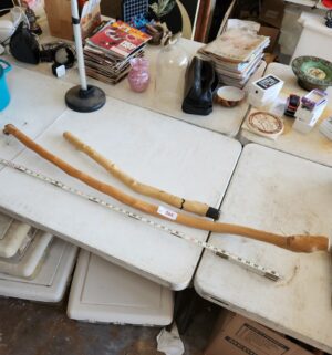 x364- walking sticks